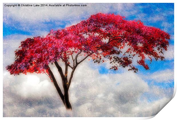  Red Tree in Summer Print by Christine Lake