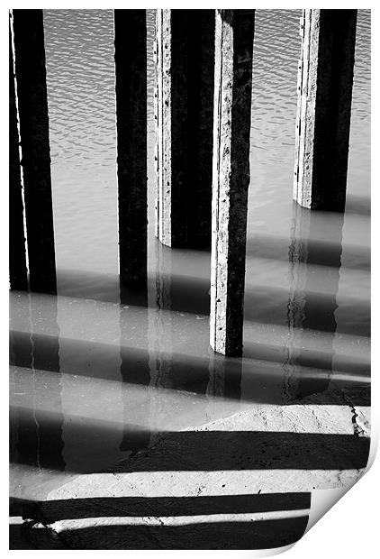 Black and White Reflections Print by Christine Lake