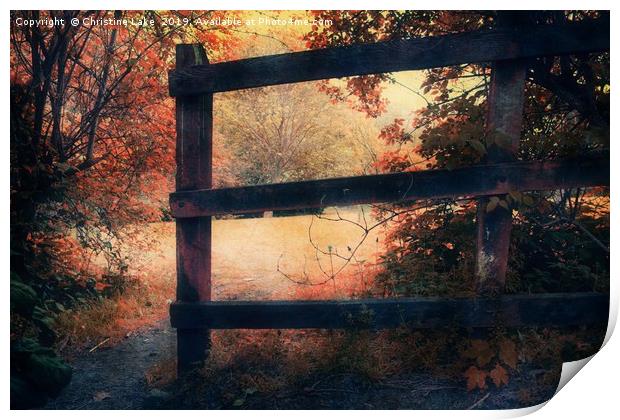 The Magic Of Autumn Print by Christine Lake