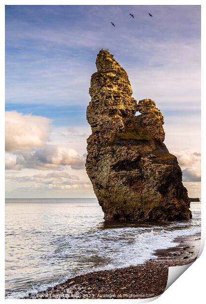 Liddle Sea Stack Chemical Beach Print by David Lewins (LRPS)