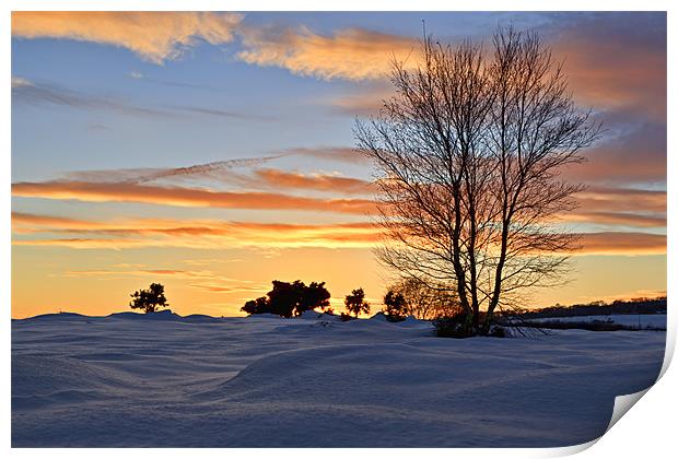 The Setting Sun - Waldridge Fell Country Park. Print by David Lewins (LRPS)