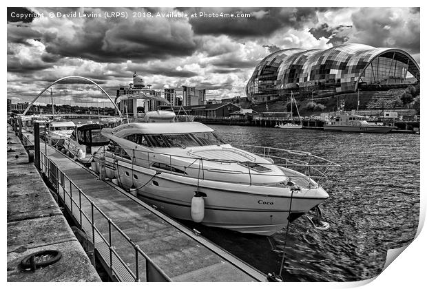 Coco on the Tyne Print by David Lewins (LRPS)