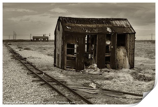 Fisherman's Shed, Dungeness Print by Dave Turner