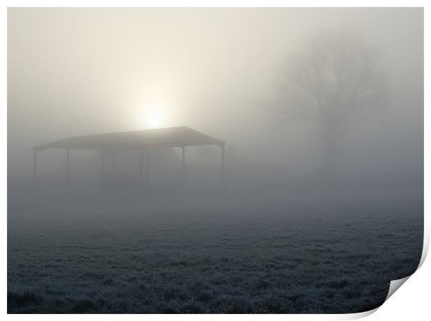 Fog and Frost, Sunrise in Wramplingham, Norfolk Print by Dave Turner