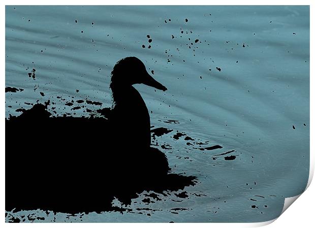Abstract duck Print by Dan Thorogood