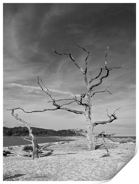 The Last Stand Print by Robert Geldard