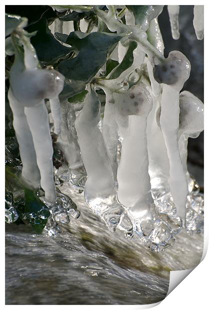 Icy Waters Print by Robert Geldard