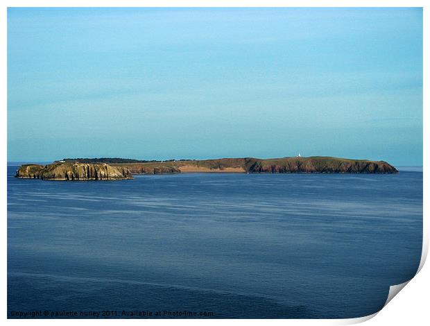 Caldey Island.Tenby. Print by paulette hurley