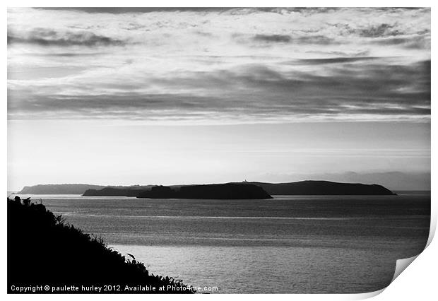 Caldey Island.B+W.Tenby. Print by paulette hurley