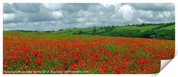 Red Poppy Field.Panorama View. Print by paulette hurley
