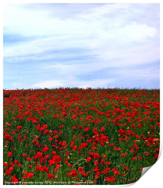Poppy.Remembrance Day. Print by paulette hurley
