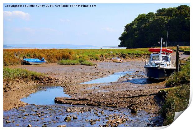  Taf Estuary. Laugharne. Carmarthenshire. Print by paulette hurley