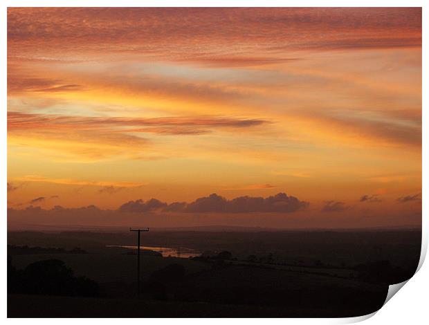 Pembrokeshire Fields. Print by paulette hurley