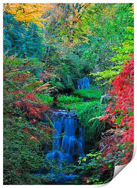 Autumn Waterfalls. Print by paulette hurley