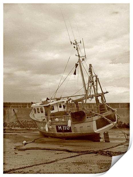 Fishing Boat .Newquay Harbour. Print by paulette hurley