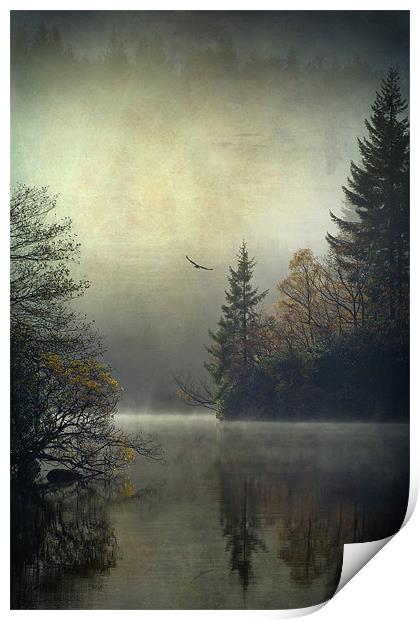 Land of the Raptors... Print by David Mould