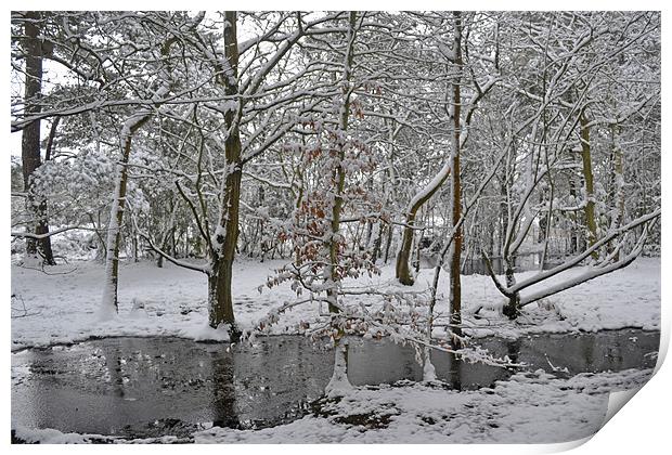 A winters pond Print by Donna Collett