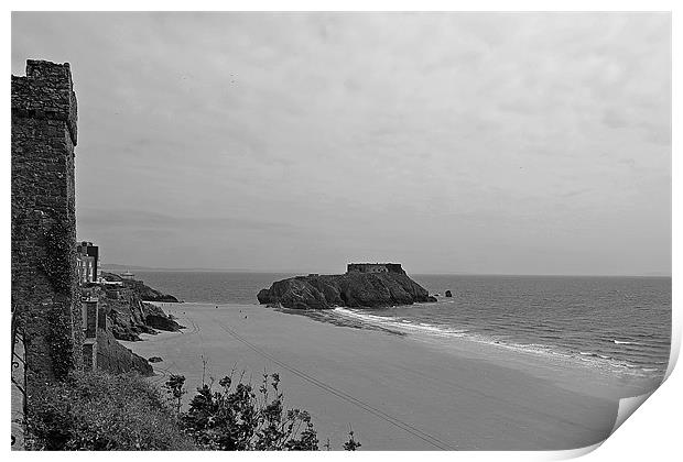 St Caherines Island Print by Donna Collett