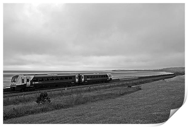 Coastal Ride Print by Donna Collett