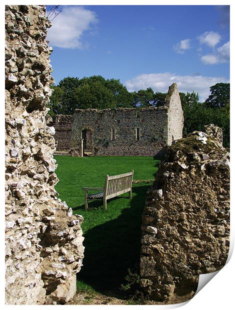Bishop Waltham Palace - Bench View Print by Donna Collett