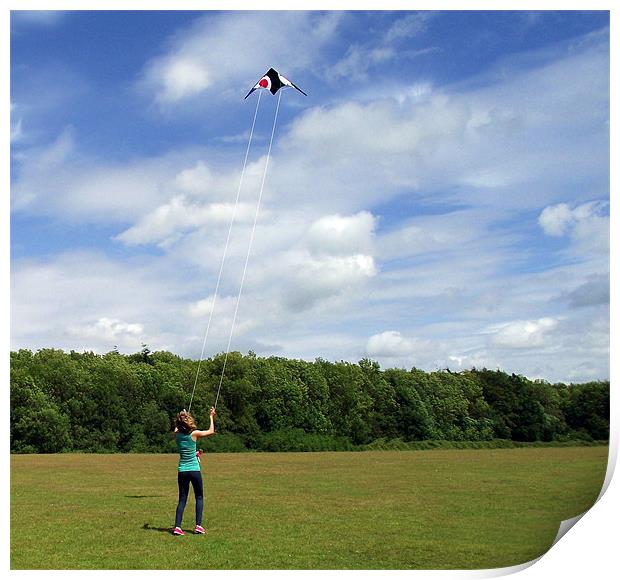 Lets go fly a kite!!!!!!!!! Print by Donna Collett
