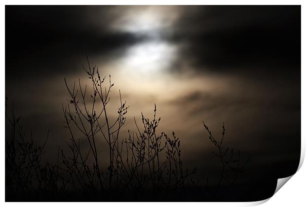 Mysterious Night Print by Donna Collett