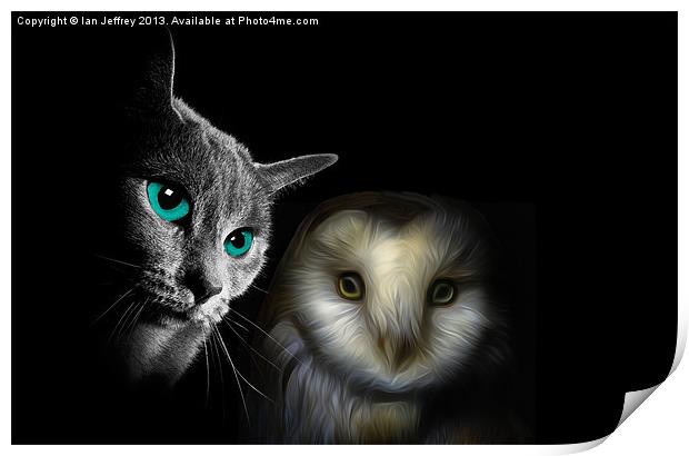 The Owl and the Pussycat Print by Ian Jeffrey