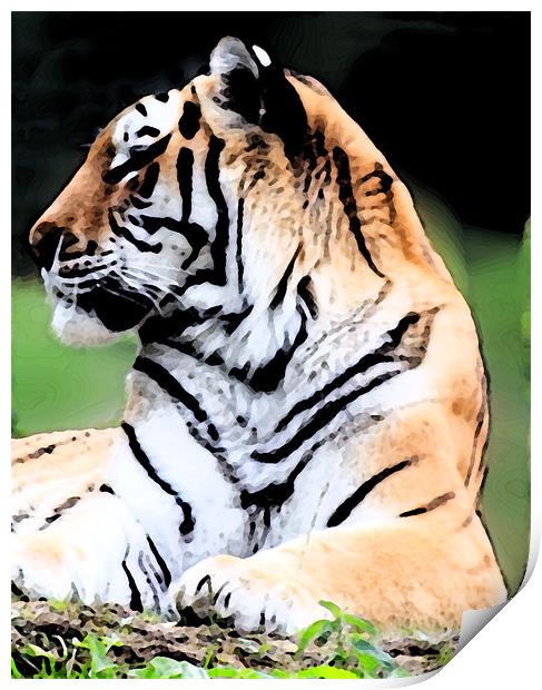 Siberian Tiger Print by Ian Jeffrey