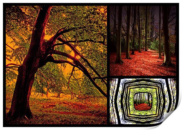 Autumn Collage Print by Ian Jeffrey