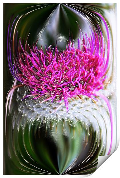 Thistle In Glass Print by Ian Jeffrey