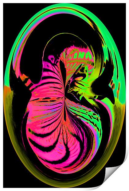 Embrio Print by Ian Jeffrey