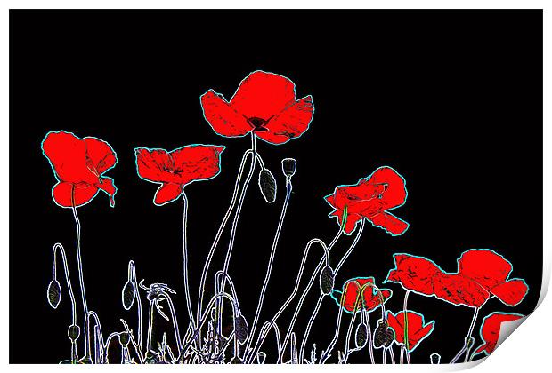 Neon Poppies Print by Ian Jeffrey