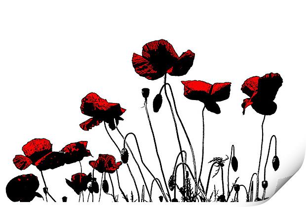 Painted Poppies Print by Ian Jeffrey