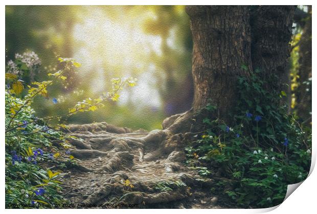 Magical woodland Print by Dawn Cox