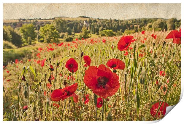 Poppy field Near Eynsford, Kent Print by Dawn Cox