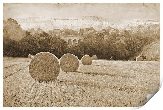 Wheat Field in Sepia tones Print by Dawn Cox