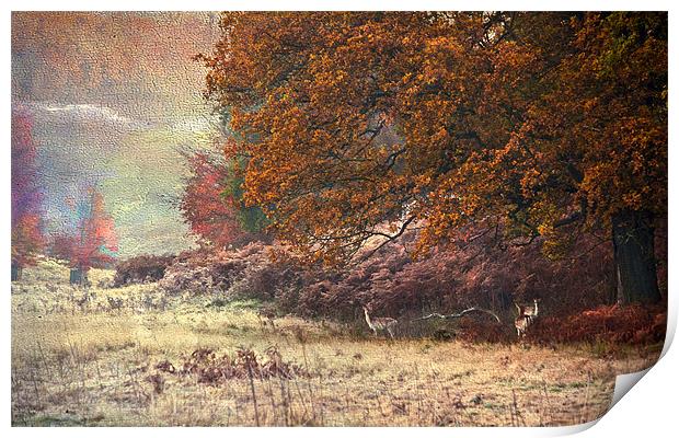 Autumn landscape Print by Dawn Cox