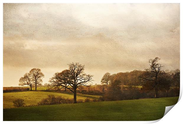 Kent Countryside Print by Dawn Cox