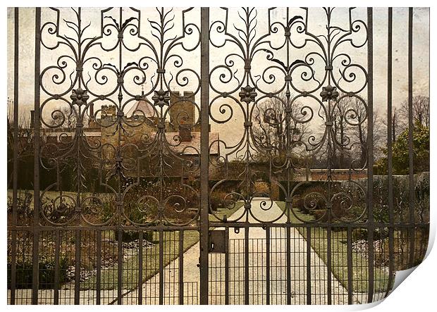 Looking through the Gates Print by Dawn Cox