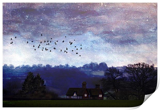 Home to Roost Print by Dawn Cox