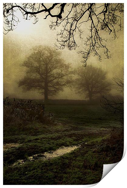 Through the mist Print by Dawn Cox