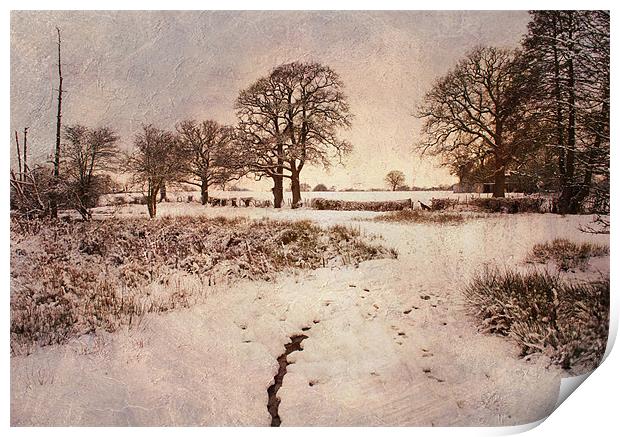 snow near chiddingstone causeway, kent Print by Dawn Cox