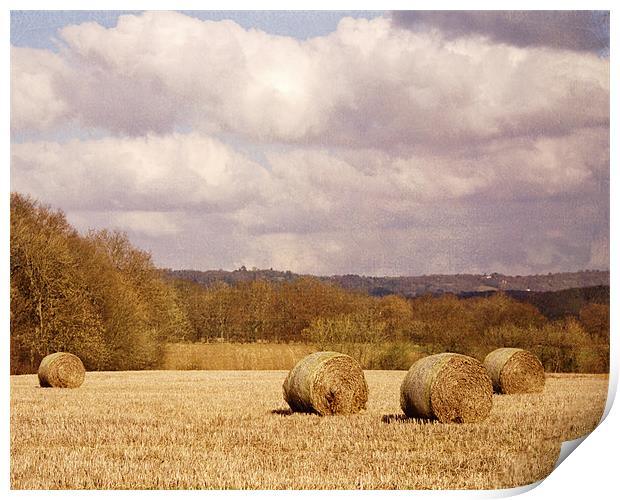 Hay bales in field Print by Dawn Cox