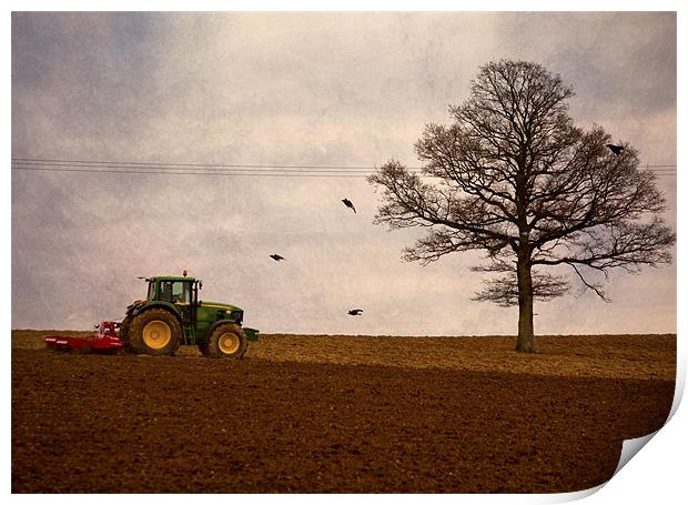 ploughing the field Print by Dawn Cox