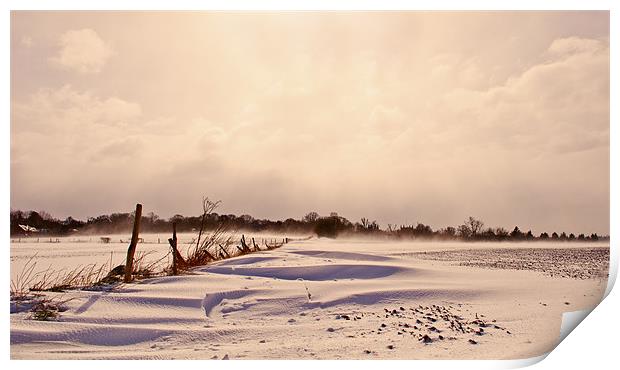 snow covered fields Print by Dawn Cox