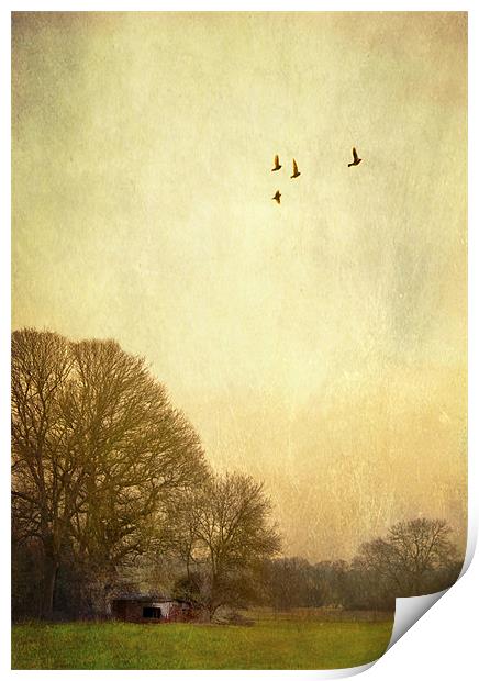 one day i will fly away Print by Dawn Cox