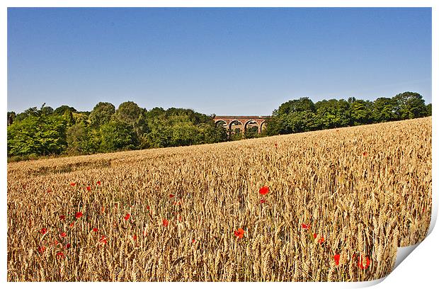 Wheat field with a view Print by Dawn Cox