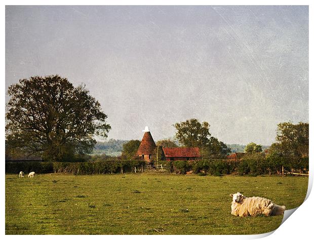 Rural Kent Print by Dawn Cox