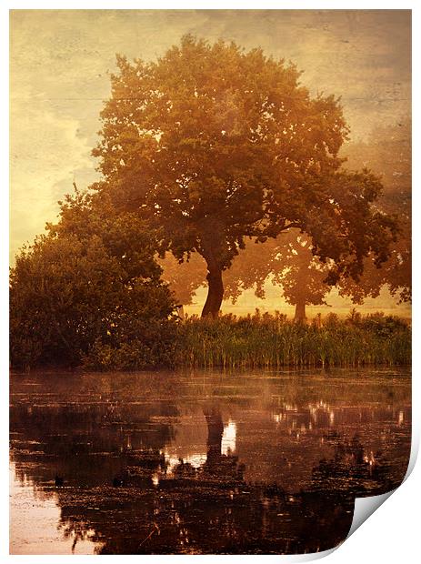 Reflections Print by Dawn Cox