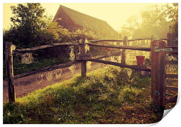 The Old Log shed Print by Dawn Cox